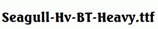 Seagull-Hv-BT-Heavy.ttf