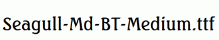 Seagull-Md-BT-Medium.ttf