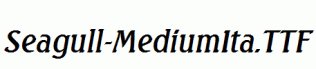 Seagull-MediumIta.ttf