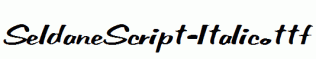 SeldaneScript-Italic.ttf