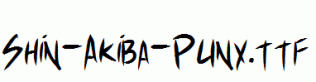 Shin-Akiba-Punx.ttf