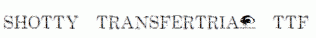 Shotty-TransferTrial.ttf