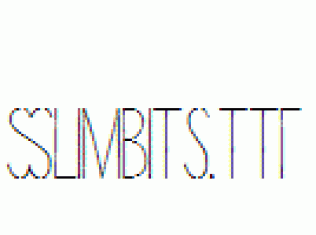 Slimbits.ttf