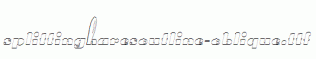SplittingHaresOutline-Oblique.ttf