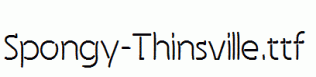 Spongy-Thinsville.ttf