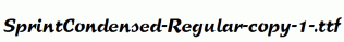 SprintCondensed-Regular-copy-1-.ttf