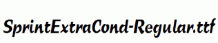 SprintExtraCond-Regular.ttf