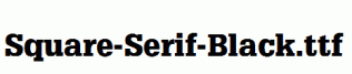 Square-Serif-Black.ttf
