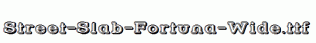 Street-Slab-Fortuna-Wide.ttf