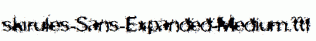 skirules-Sans-Expanded-Medium.ttf