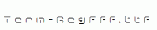 Term-RegFff.ttf