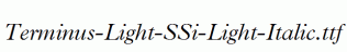 Terminus-Light-SSi-Light-Italic.ttf