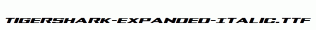 Tigershark-Expanded-Italic.ttf