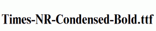 Times-NR-Condensed-Bold.ttf