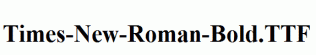 Times-New-Roman-Bold.ttf