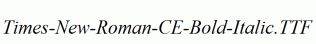 Times-New-Roman-CE-Bold-Italic.ttf