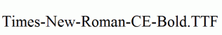 Times-New-Roman-CE-Bold.ttf