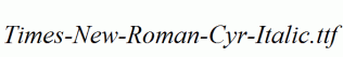 Times-New-Roman-Cyr-Italic.ttf