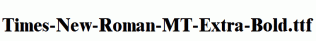 Times-New-Roman-MT-Extra-Bold.ttf