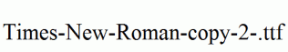 Times-New-Roman-copy-2-.ttf