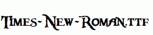 Times-New-Roman.ttf