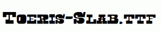 Toeris-Slab.ttf
