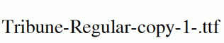 Tribune-Regular-copy-1-.ttf