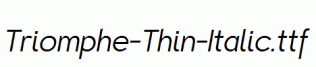 Triomphe-Thin-Italic.ttf