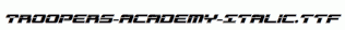 Troopers-Academy-Italic.ttf