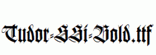 Tudor-SSi-Bold.ttf