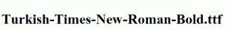 Turkish-Times-New-Roman-Bold.ttf