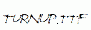 TurnUp.ttf