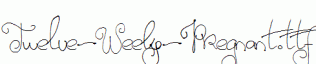 Twelve-Weeks-Pregnant.ttf