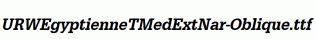 URWEgyptienneTMedExtNar-Oblique.ttf