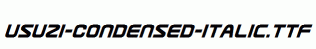 Usuzi-Condensed-Italic.ttf