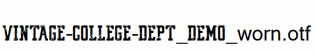 VINTAGE-COLLEGE-DEPT_DEMO_worn.otf