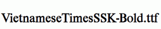VietnameseTimesSSK-Bold.ttf