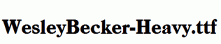 WesleyBecker-Heavy.ttf