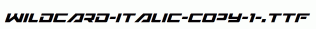 Wildcard-Italic-copy-1-.ttf