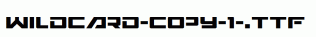 Wildcard-copy-1-.ttf