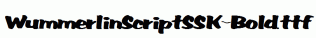 WummerlinScriptSSK-Bold.ttf