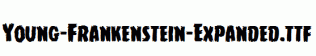 Young-Frankenstein-Expanded.ttf