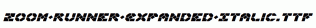 Zoom-Runner-Expanded-Italic.ttf